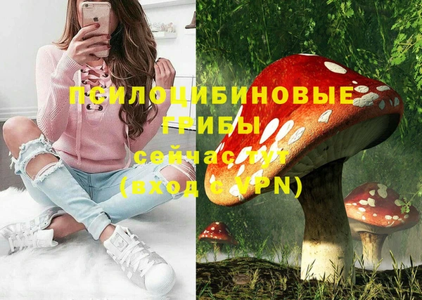 гидра Балабаново
